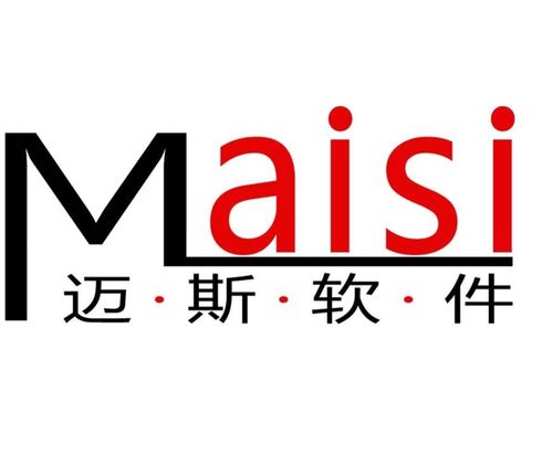 科技賦能，數(shù)智轉(zhuǎn)型 合肥邁斯軟件科技的軟件開發(fā)之道